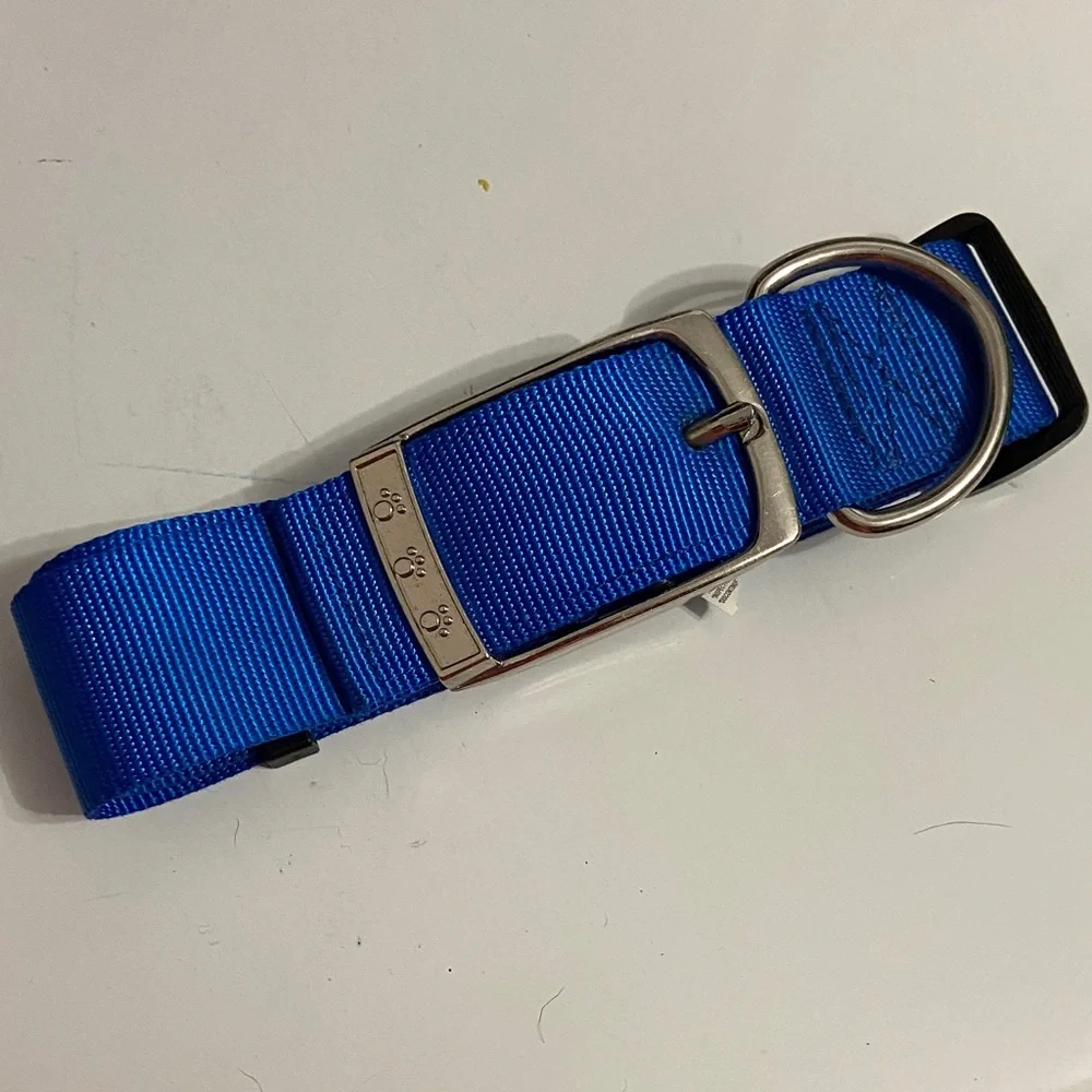 Durable Blue Dog Collar with Silver Buckle